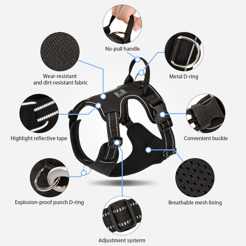 The Playhouse™ Harness