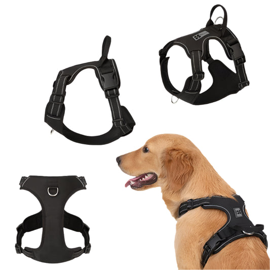 The Playhouse™ Harness
