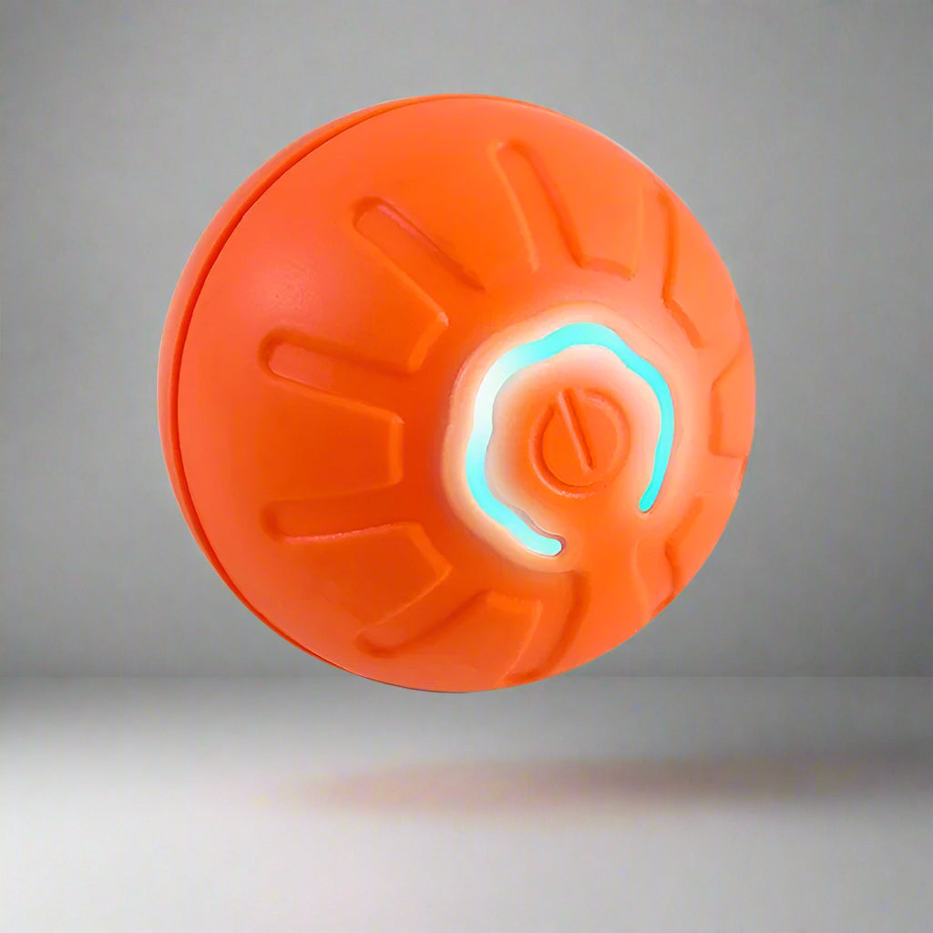Interactive Dog Ball
