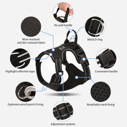 The Playhouse™ Harness