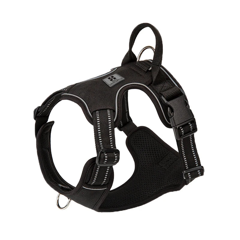 The Playhouse™ Harness