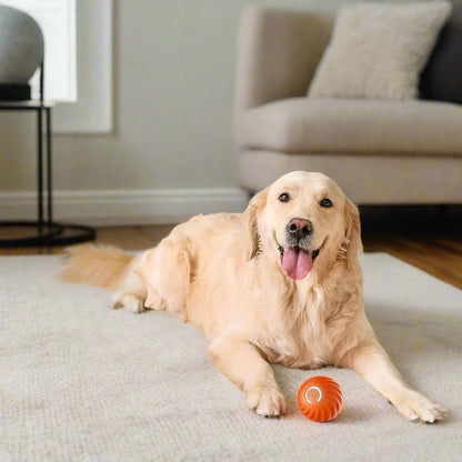 Interactive Dog Ball