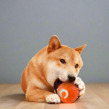 Interactive Dog Ball