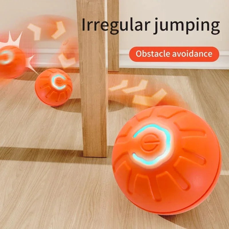 Interactive Dog Ball