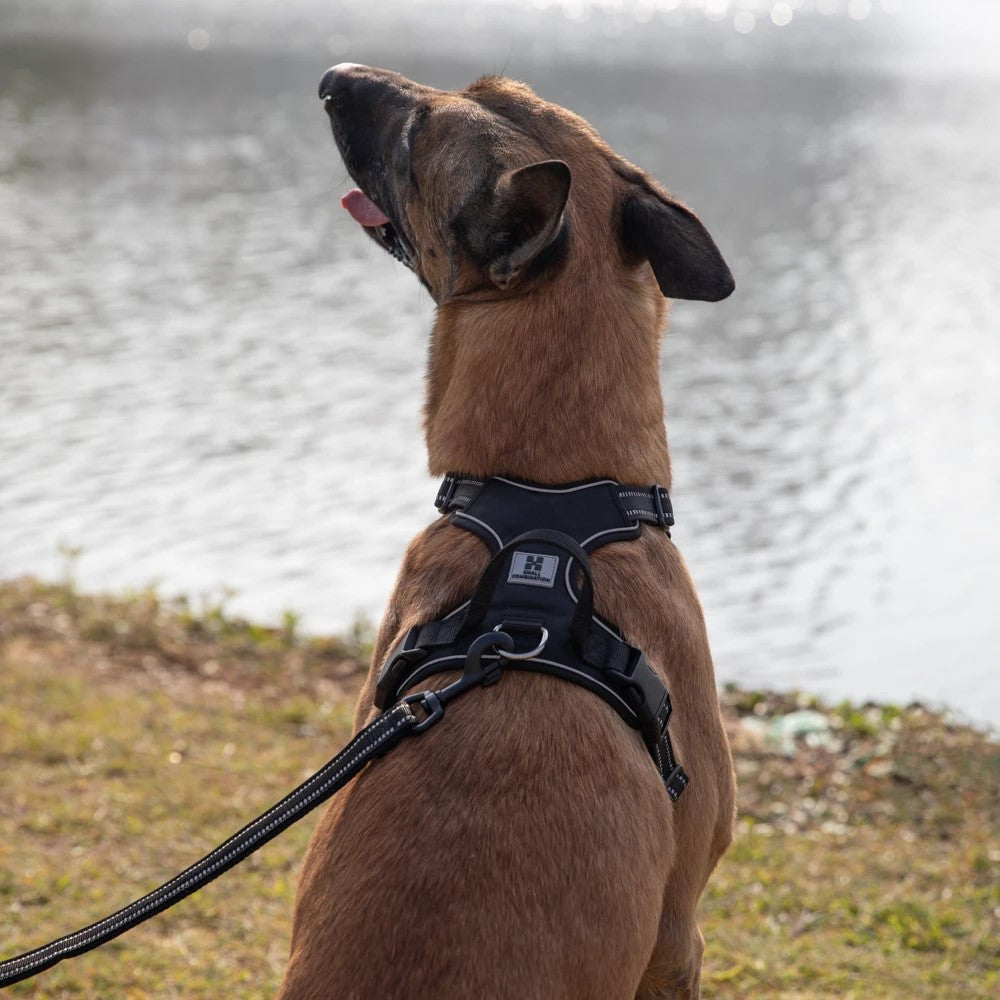 The Playhouse™ Harness
