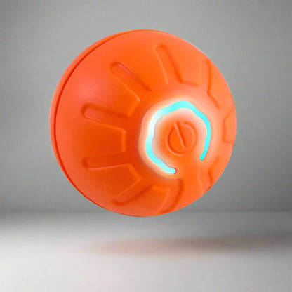 Interactive Dog Ball