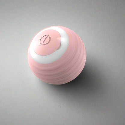 Interactive Dog Ball